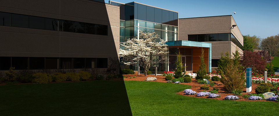 Schaumburg Landscapers