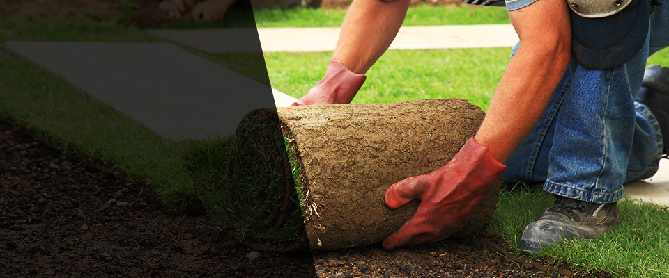 Schaumburg Landscapers